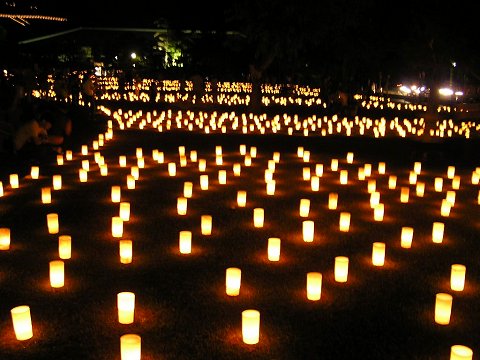 ���_���n