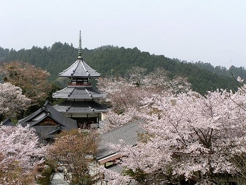 �����R��