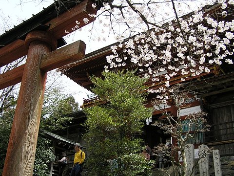 ���{�i�g�쐅���_�Ёj