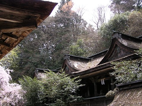 ���{�i�g�쐅���_�Ёj