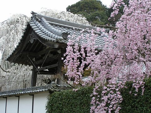 ��쎛�̏�����