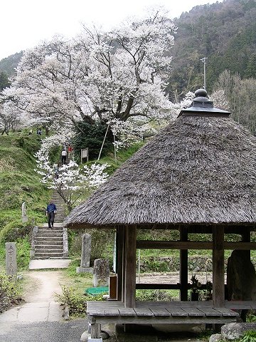 �������̐�N��