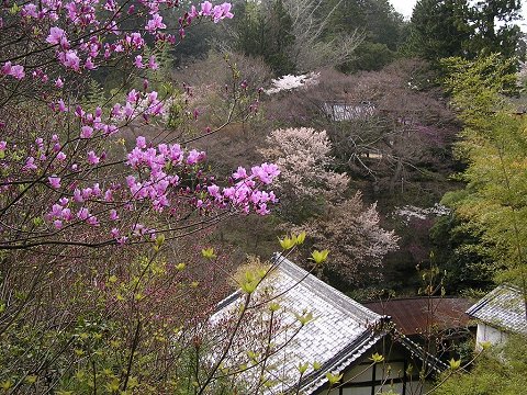 �呠���̑呠�c�c�W