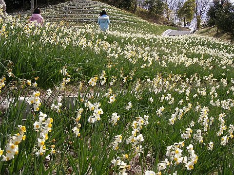 ��x�r����