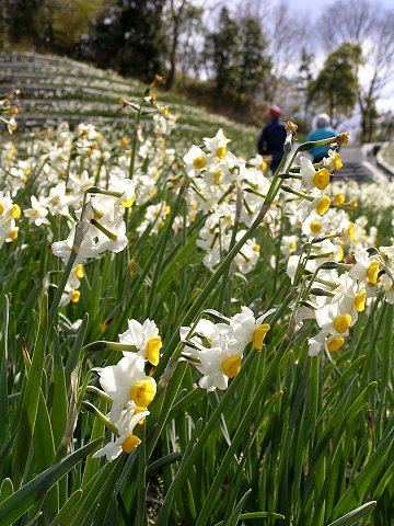 ��x�r����