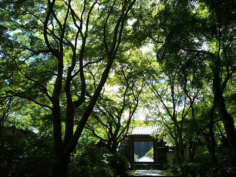 �������̂��݂�