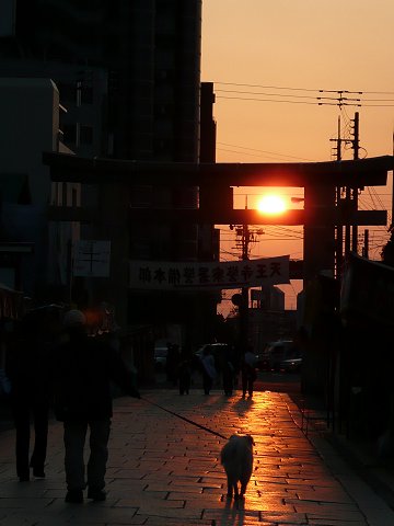 �l�V�����̗[�z