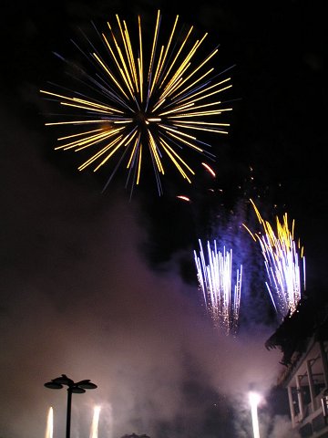 �G�L�X�|�����h�̉ԉ�