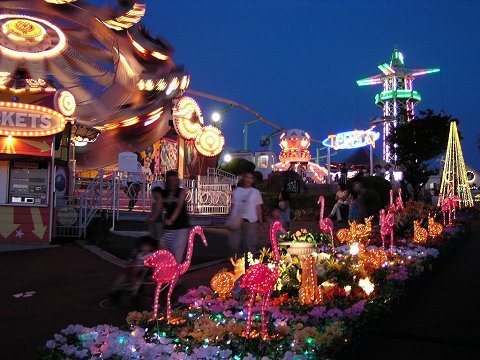 �X�J�C�����h����