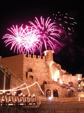 �|���g���[���b�p�̉ԉ�