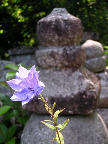 �Γ����̋j�[