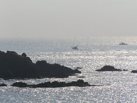 �F�����̊C��