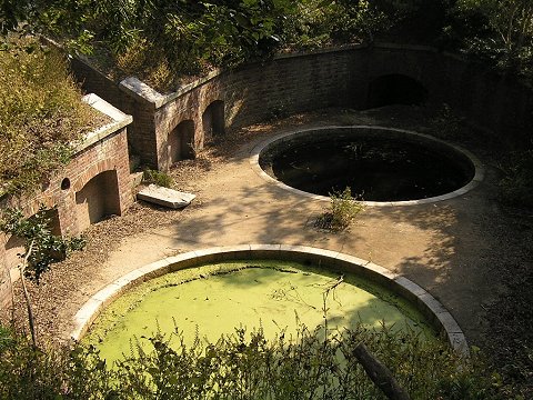 ��O�C���