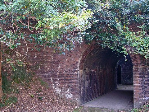 ��O�C���