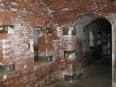 ��O�C���