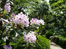 石光寺の庭園
