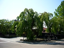 �p�ْ����׍H�`����