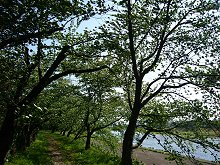 �O�ؓ���̍�����