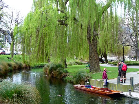 �p���e�B���O