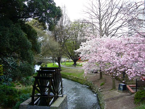 �G�C���H����