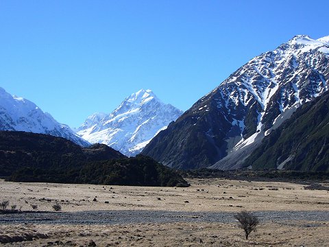 �P�A�|�C���g�E�g���b�N