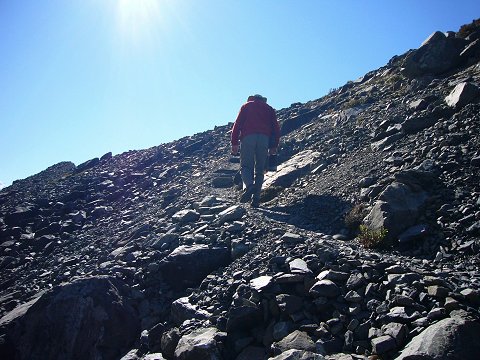 ���I�̍⓹��o��