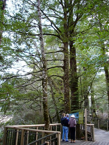 �~���[��