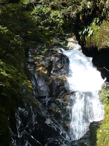 �L���Y���̑�