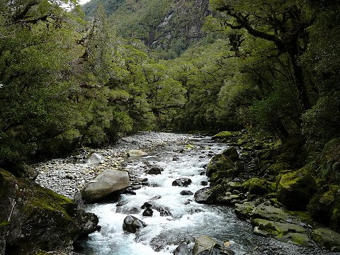 �L���Y��