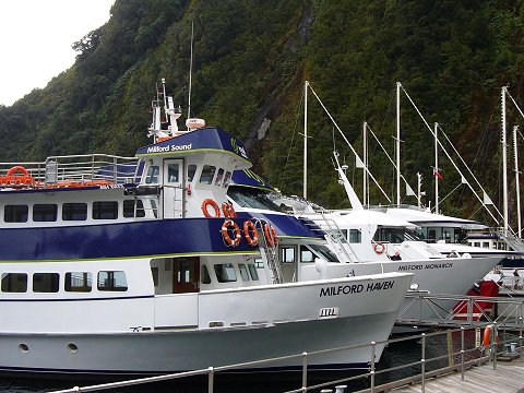 �N���[�U�[