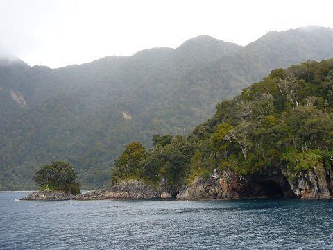 �~���t�H�[�h�E�T�E���h