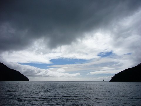 �~���t�H�[�h�E�T�E���h