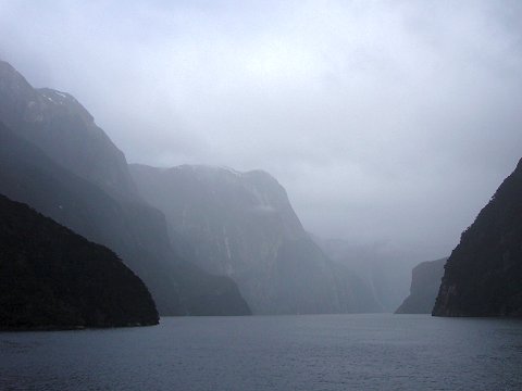 �~���t�H�[�h�E�T�E���h